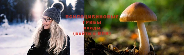 соль курить ск Михайловск