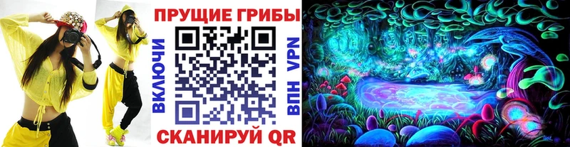 Галлюциногенные грибы прущие грибы  Тобольск 