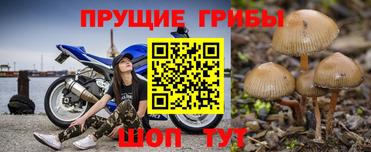 Псилоцибиновые грибы ЛСД  как найти закладки  Тобольск  Вход с VPN  Псилоцибиновые грибы Cubensis 